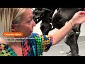 Most complete Stegosaurus fossil found breaks auction record | REUTERS  - 01:34 min - News - Video
