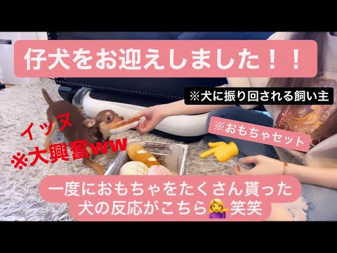 まりのすけtvの最新動画 Youtubeランキング