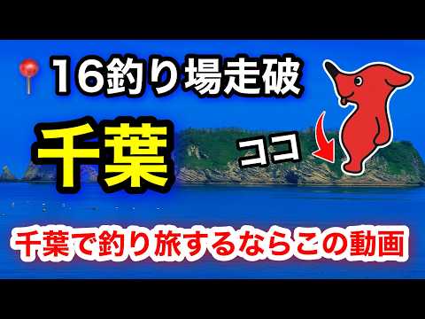 【釣り場攻略】千葉・浦安〜館山まで16釣り場&釣具店・道の駅を紹介!話題の貸切釣り場ゴールデンシュリンプへ🐾2025.10