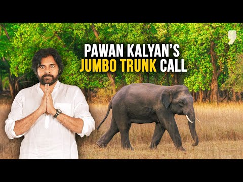 Why does Pawan Kalyan want Karnataka’s Jumbo elephants? News9 Plus Decodes