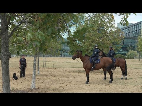 Γερμανία: Νέοι συνοριακοί έλεγχοι - Αιτίες και πιθανά προβλήματα