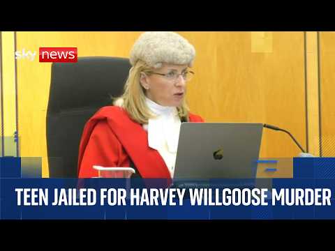 Teen sentenced for murdering Harvey Willgoose during school lunch break | Cameras in court