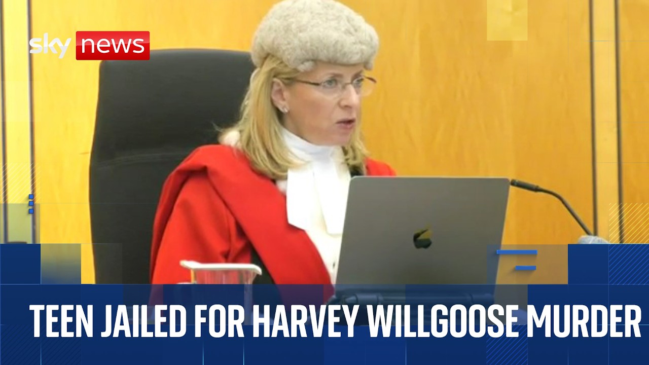 Teen sentenced for murdering Harvey Willgoose during school lunch break | Cameras in court