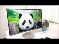 Samsung 27-inch (CF591) Curved Monitor with AMD FreeSync - Review