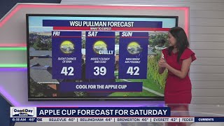 Apple Cup forecast for Saturday | FOX 13 Seattle