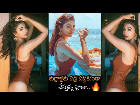 Actress Pooja Hegde's bikini photoshoot in Maldives goes viral Actress Pooja Hegde's bikini photoshoot in Maldives goes viral