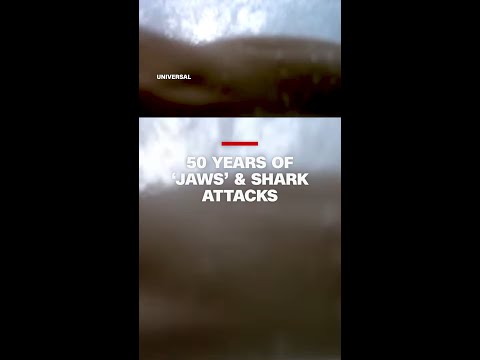 50 years of 'Jaws' and shark attacks