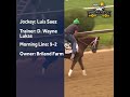 Meet the 2022 Preakness horses  - 02:19 min - News - Video