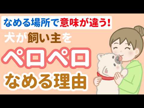 犬が人をペロペロなめる理由‥どこを舐めるかで意味が変わる!?