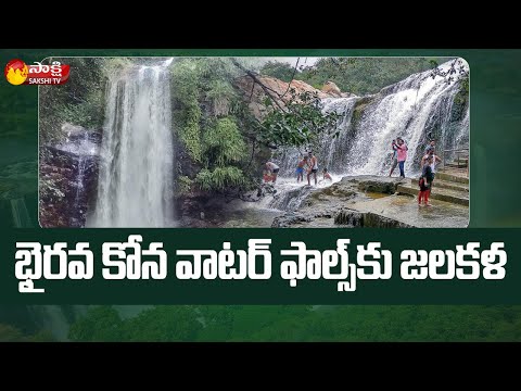 Prakasam: Bhairavakona waterfalls comes alive, attracts tourists