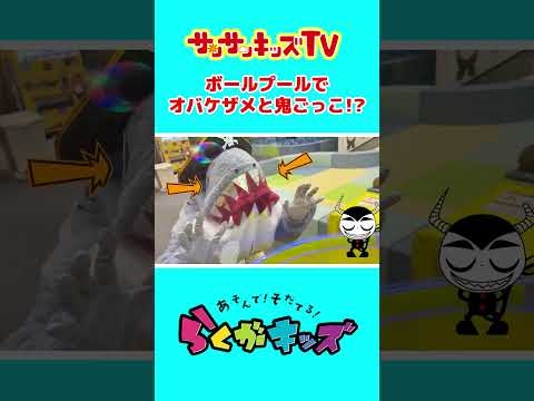 ボールプールでオバケザメと鬼ごっこ！？★サンサンキッズTV★#shorts #らくがキッズ