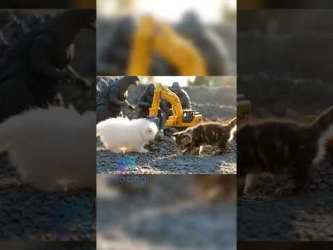 Persian & Maine Coon Kittens Watch Godzilla vs Kong in a Mining World! 🐱⚡⛏️ #asmrkittens #excavator