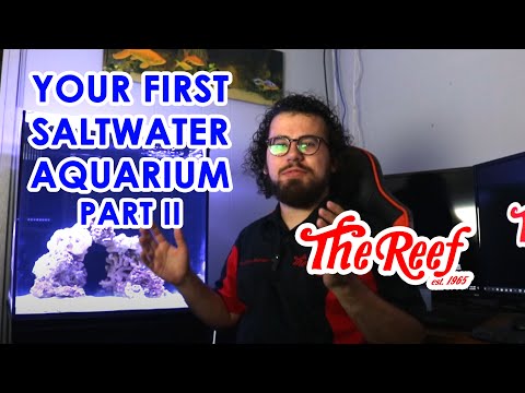Setting Up Your First Saltwater Aquarium Part II_  About the nitrogen cycle_ https_//www.thereefindy.com/blog/beginners-guide-the-nitrogen-cycle

In th