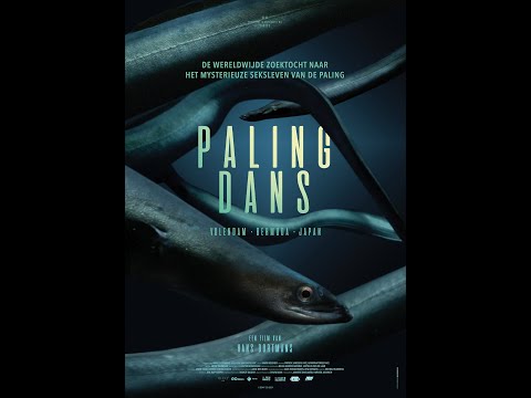 Palingdans'