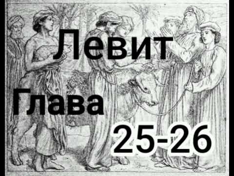 Левит глава 25-26 #аудіобіблія#біблія#левит#українською