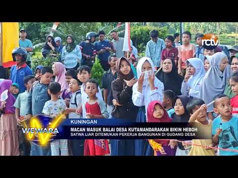 Macan Masuk Balai Desa Kutamandarakan Bikin Heboh