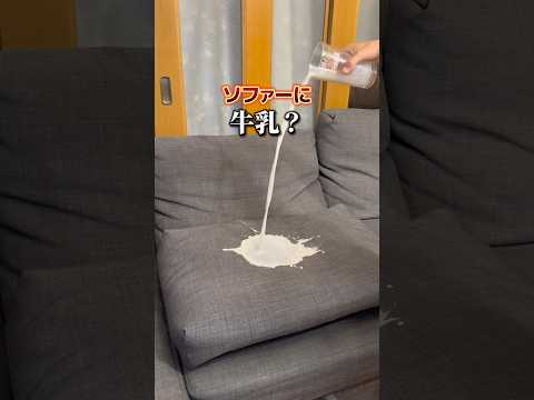 【衝撃】5年洗ってないソファ