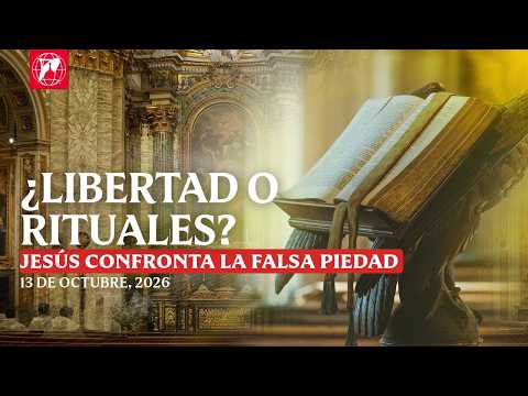Lecturas y homilía – 2026-10-13 – P. Matthew