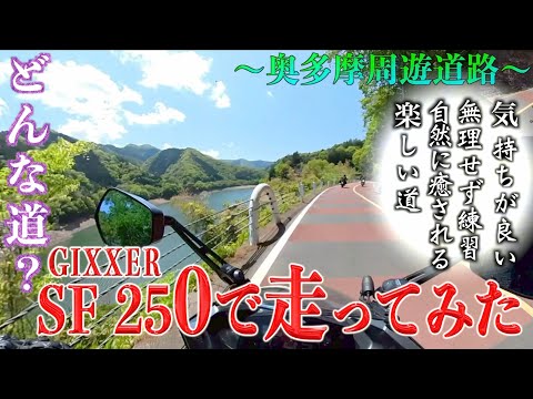【ASMR】バイクに乗れない日に見るツーリング動画 ジクサーSF 250(奥多摩周遊道路)