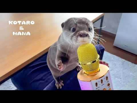 にゃむにゃむ食べるカワウソにマイク使ったら可愛すぎた　Otters Make Funny Noises While Eating with Mic