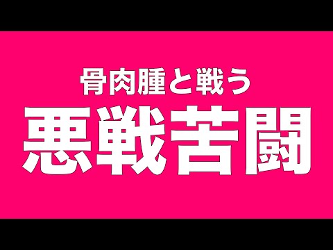 【骨肉腫と戦う保護犬】悪戦してます
