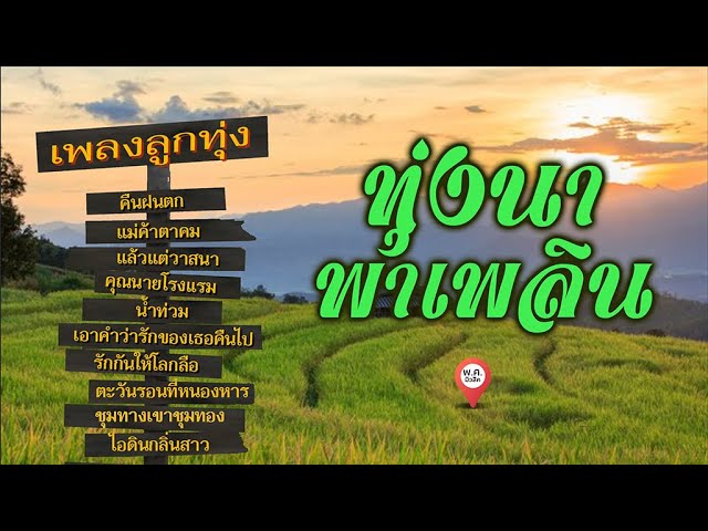 ทุ่งนา พาเพลิน รวมเพลงอมตะลูกทุ่ง #คืนฝนตก #แม่ค้าตาคม #น้ำท่วม #เอาคำว่ารักของเธอคืนไป