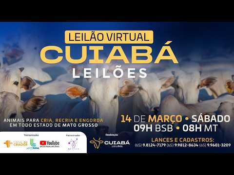 Leilão Virtual Cuiabá Leilões