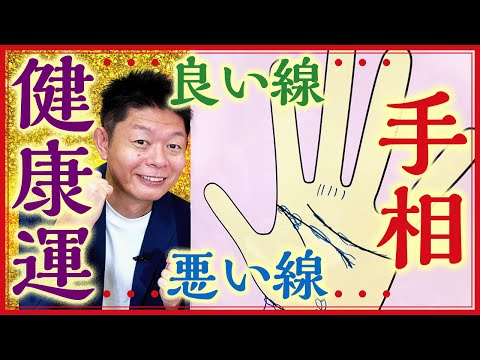 手相【健康運】良い線悪い線 ズバリ!!!!『島田秀平のお開運巡り』