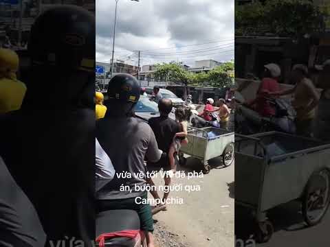 Chắn Động Lúc Này Vừa Về Thì#tintuc #phapluatxahoi