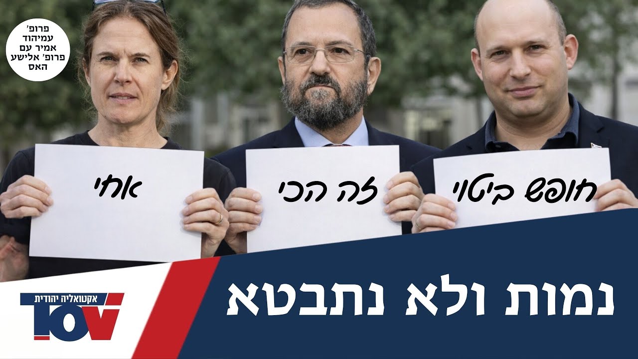 פרופ אמיר עמיהוד: 