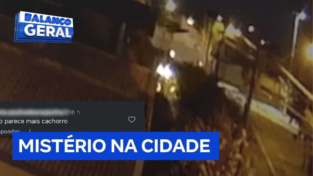 Onça teria sido flagrada por casal de moradores é uma onça ou um cachorro