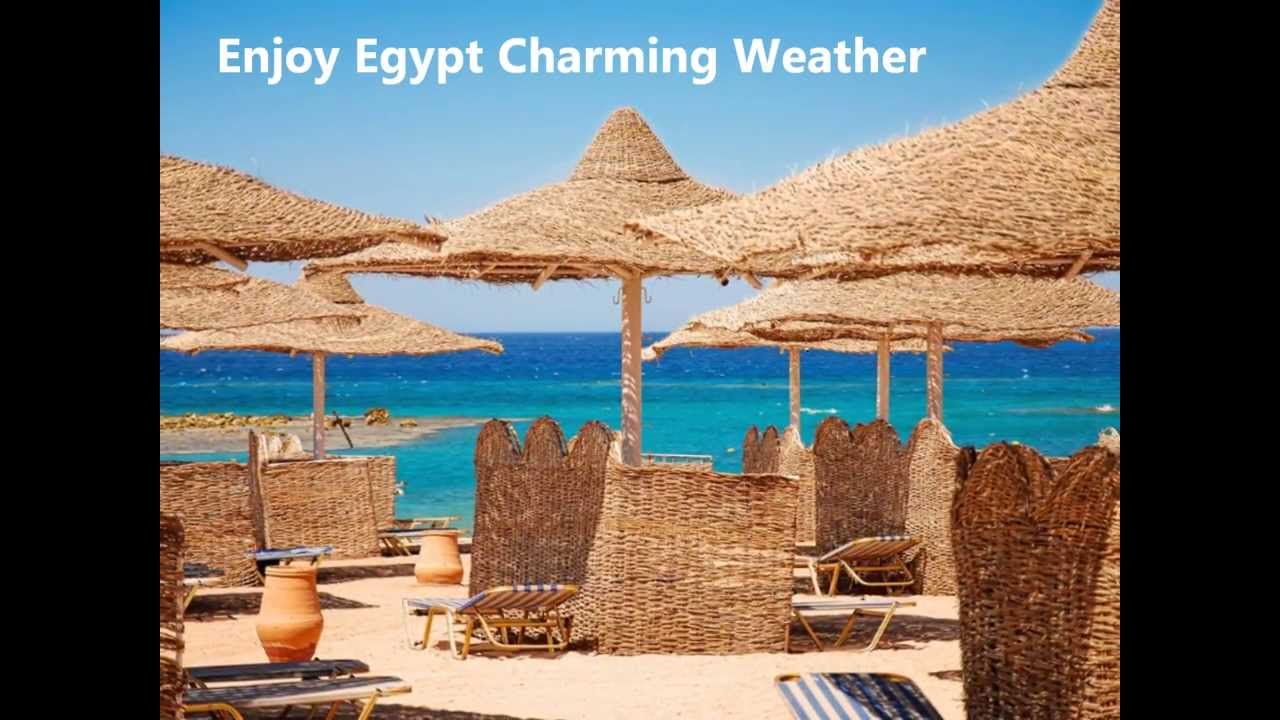 Red Sea Holidays in Egypt - Shaspo Tours - YouTube