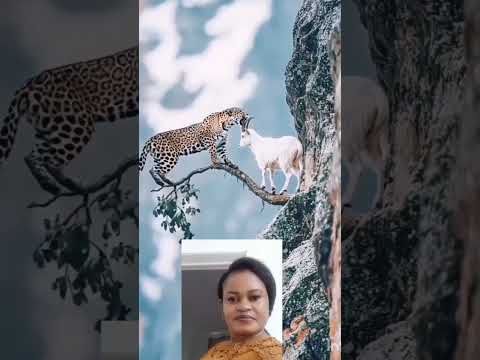 incredible #subscribe #funnyshorts