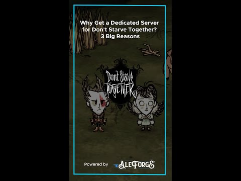 Why Get a Dedicated Server for Don’t Starve Together? 3 Big Reasons