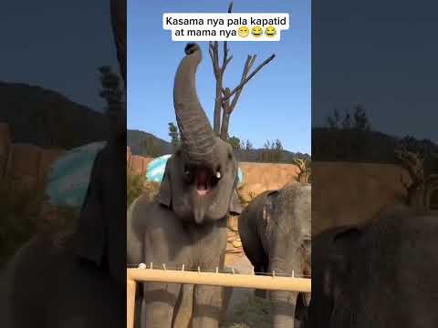 Her mother and sister is with her.. 😆😁 #funny #comedymove #comedyfilms