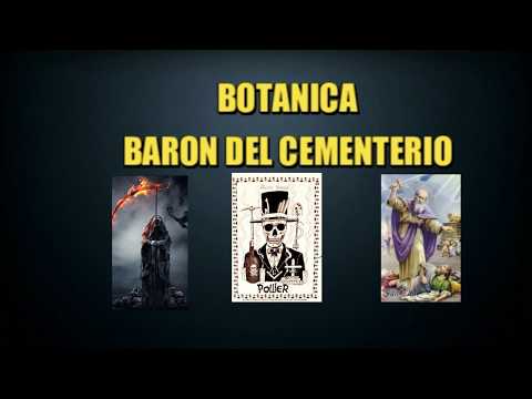 Botanica Baron del Cementerio