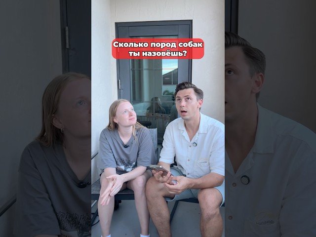 Какую породу выбираешь?🐶 #морозовы #юмор #challenge #shorts