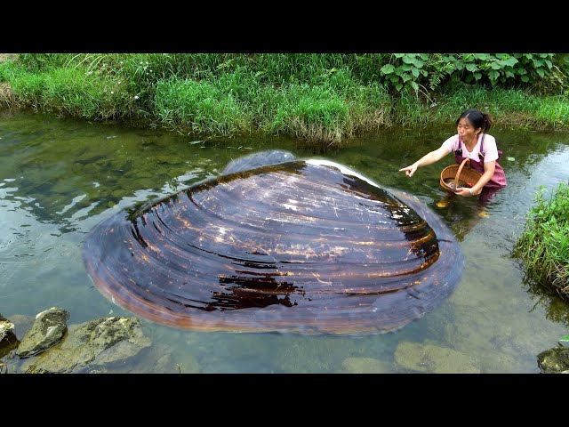 Come with me quickly, the big river clam has come out
