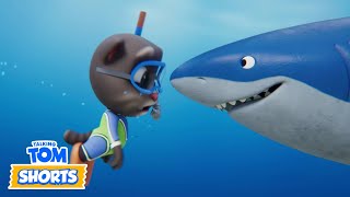 動画サムネイル
