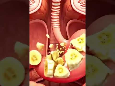 #human#body#ke#liye#bnana#kitna#jaruri#hai#youtube #. #motivation #vidios##subscribe me#vidioviral