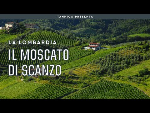 Il Moscato di Scanzo, la (quasi) più piccola DOCG italiana | Tannico