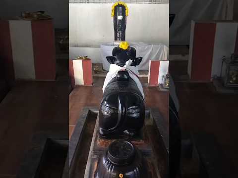 Nagaheswaraswamy Nagathaamman temple siruseri🙏🙏🙏🙏