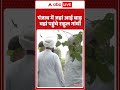 Punjab में जहां आई बाढ़ वहा पहुंचे Rahul Gandhi | Congress | ABP SHORTS  - 00:45 min - News - Video