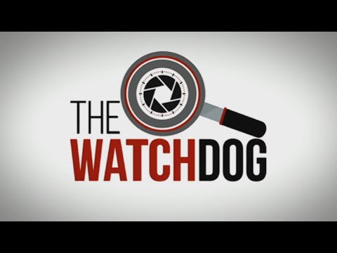The Watchdog | 11 April 2022