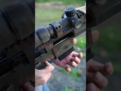 The Bolt Action Crossdresser [Sig Cross 6.5CM]