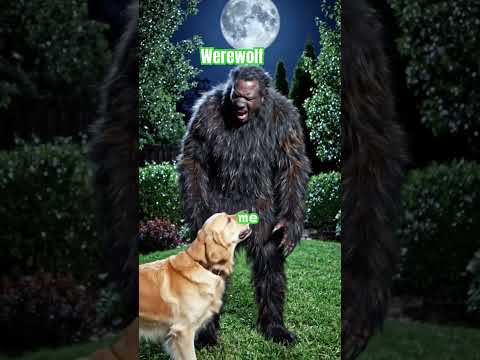 I turned to werewolf dog didn’t like it. #fyp #viral #comedy