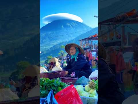 beautiful #nature #beautifulview #vibes #view #viral #mountains #travel #new