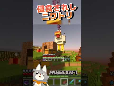 thumbnail_LnRsKYRePM4