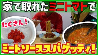 【レシピ】採れたてトマトでスパゲッティ作り！【無視！？】