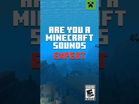 MINECRAFT SOUND QUIZ